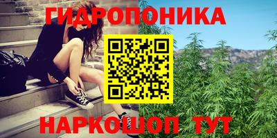 тгк Краснокаменск